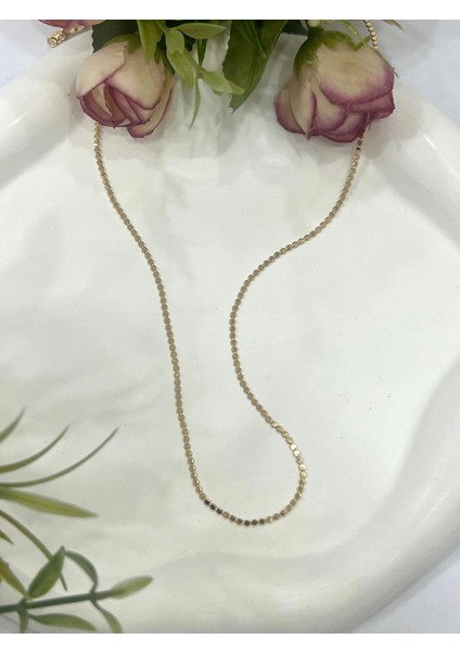 Ezme Ince Zincir Çelik Kolye (18K Gold - 60CM)