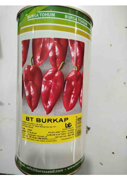 Burkap Kapya Biber Tohumu 500 Gram