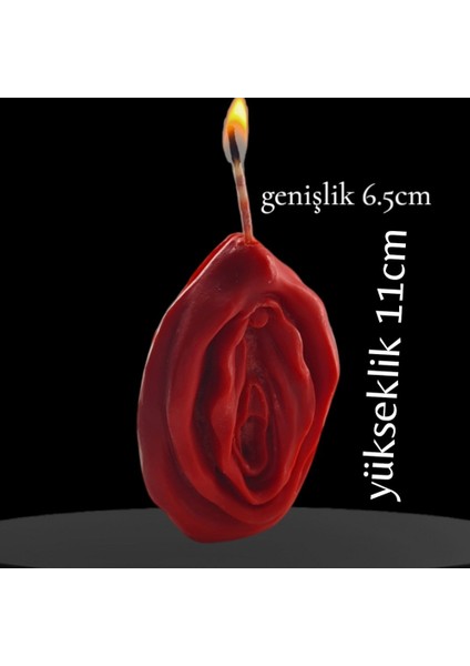 Dogal Dekoratif Kokuluvajina Modeli Soyawax Mum