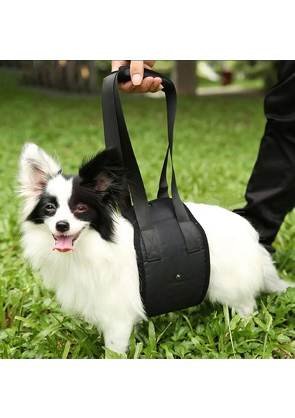 Köpek Kaldırma Kayışı Moppa