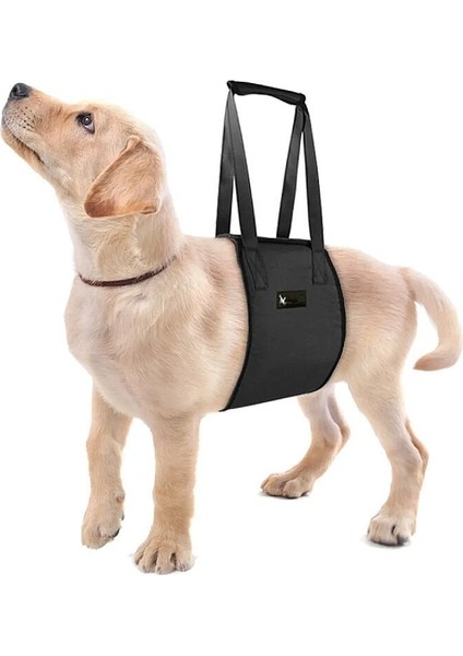 Köpek Kaldırma Kayışı Moppa
