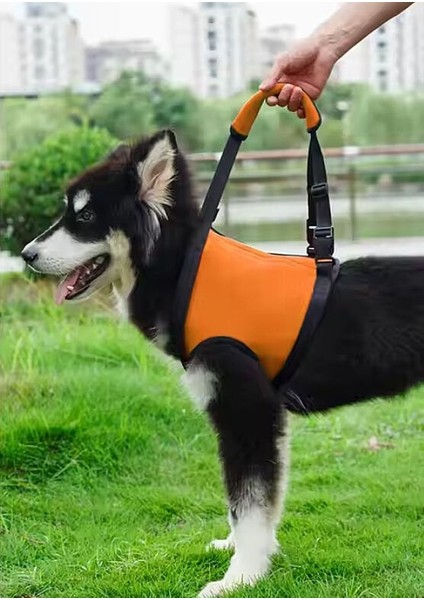 Köpek Kaldırma Kayışı Bopy
