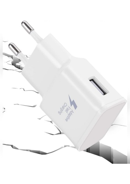 12W 2.1A Usb +Micro Girişli Adaptör ve Kablo Hızlı Şarj Aleti Seti TN-C01