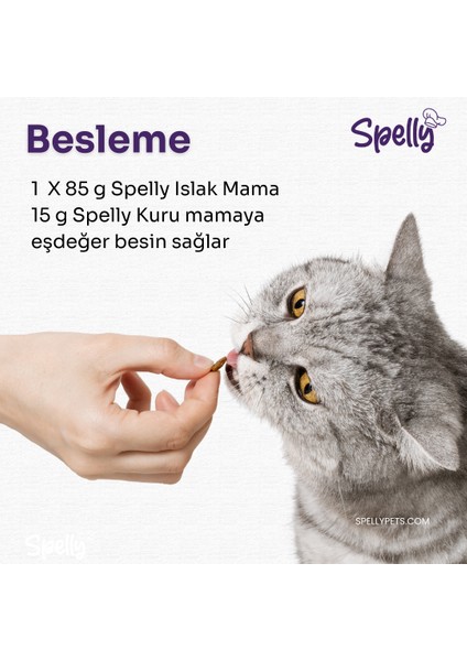 12 Adet x Spelly Premium Yavru Kedi Yaş Mama - Tavuk (85GR)