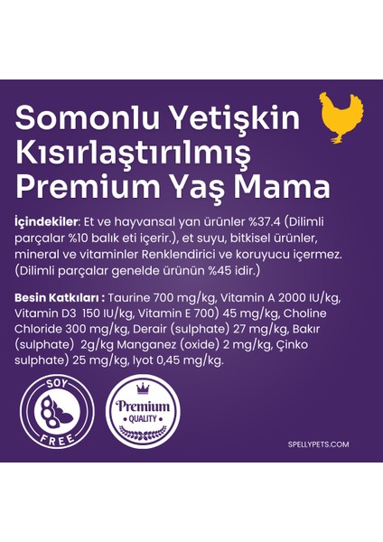 12 Adet x Spelly Premium Kısırlaştırılmış Kedi Yaş Mama - Somon (85GR)