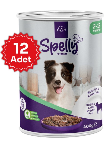 12 Adet x Spelly Premium Yavru Köpek Konserve - Kuzu (400GR)