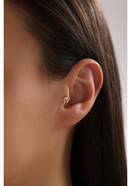 Altın Yengeç Piercing