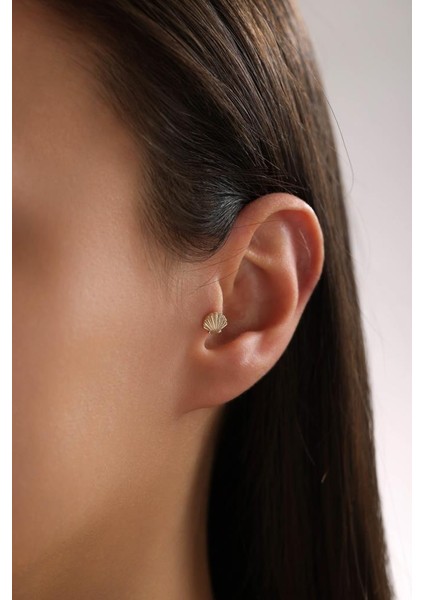 Altın Deniz Kabuğu Piercing