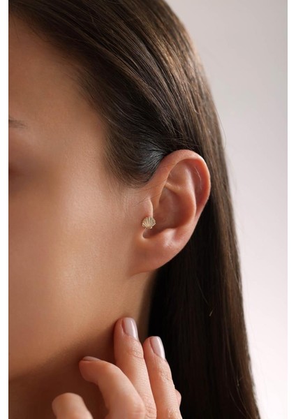 Altın Deniz Kabuğu Piercing fiyatları