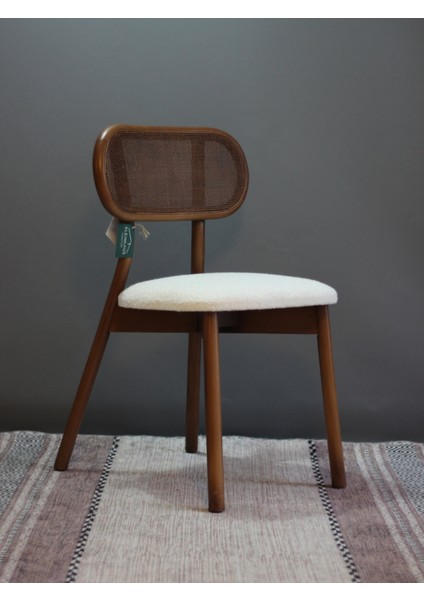 Ibiza Ahşap Yemek Odası Sandalyesi, Modern Tasarım, Gürgen İskelet, Değiştirilebilir Renk