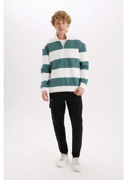 Boxy Fit Dik Yaka Yarım Fermuarlı Çizgili Sweatshirt C7045AX24AU fiyatları