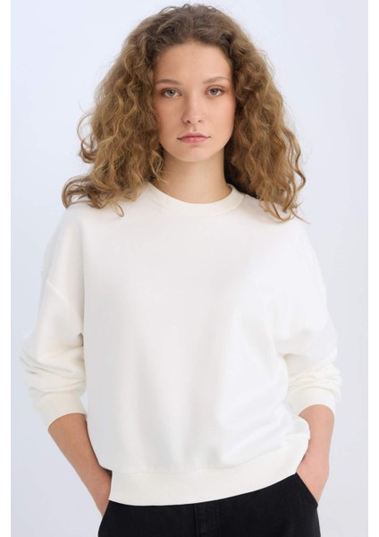 Regular Fit Bisiklet Yaka Kalın Basic Düz Sweatshirt D6645AX24WN