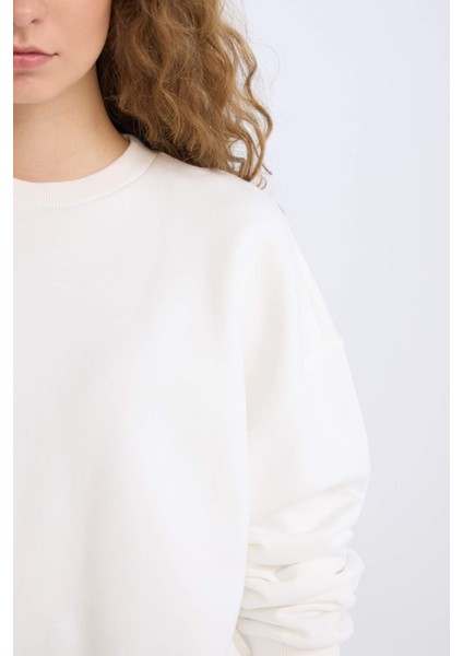 Regular Fit Bisiklet Yaka Kalın Basic Düz Sweatshirt D6645AX24WN