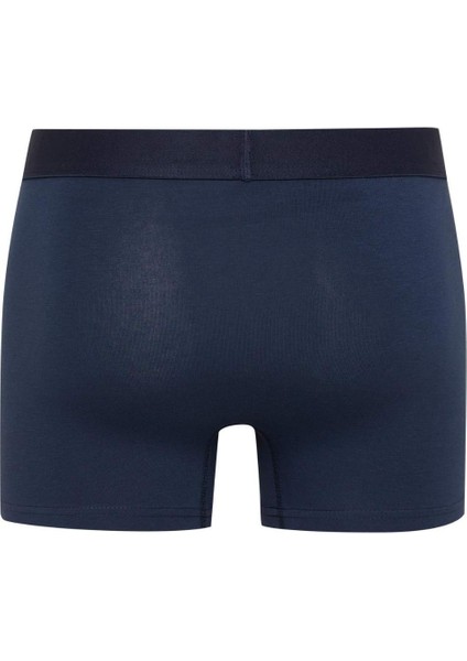 Regular Fit 3'lü Boxer E0121AX24AU