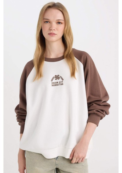Coool Loose Fit Bisiklet Yaka Baskılı Renk Bloklu Sweatshirt D6669AX24WN