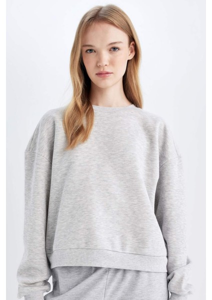 Regular Fit Bisiklet Yaka Kalın Basic Düz Sweatshirt D6645AX24WN