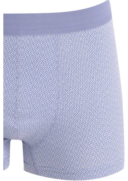 Regular Fit 3'lü Boxer D2316AX24AU