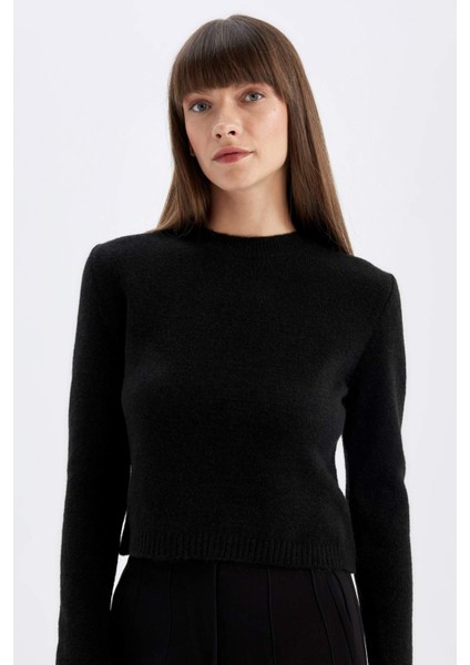 Regular Fit Bisiklet Yaka Premium Basic Düz Crop Triko Kazak C9047AX24WN