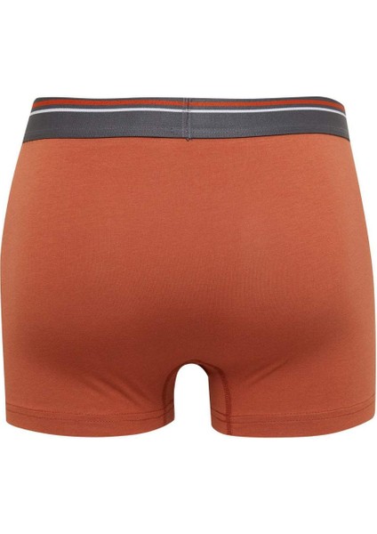Erkek Desenli 3'lü Boxer D2332AX24WN