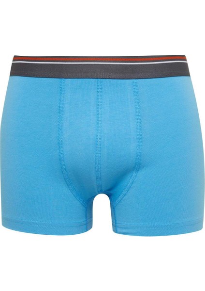 Erkek Desenli 3'lü Boxer D2332AX24WN