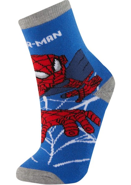 Erkek Çocuk Marvel Spiderman 2'li Pamuklu Kışlık Çorap A6340A8NS