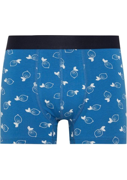 Regular Fit 3'lü Boxer Y3179AZ24SM fiyatları