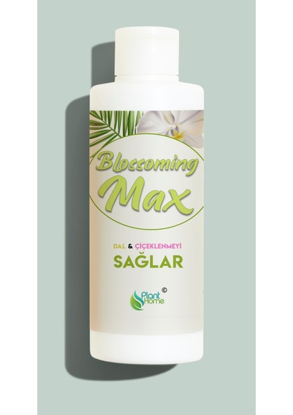 Orkideler Için Dal ve Çiçek Destekleyici Premium Besin 100 ml