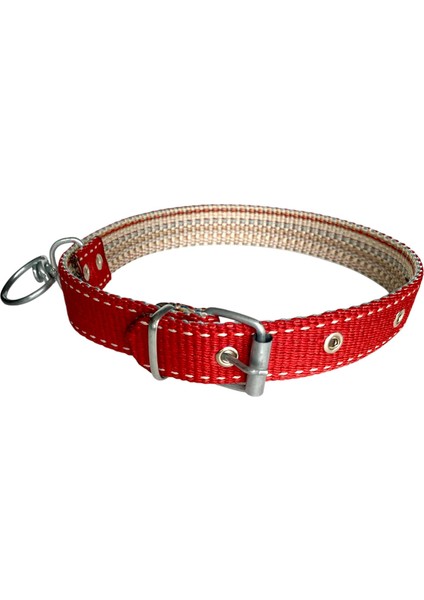 Büyük Boy Köpek Tasması 65 cm