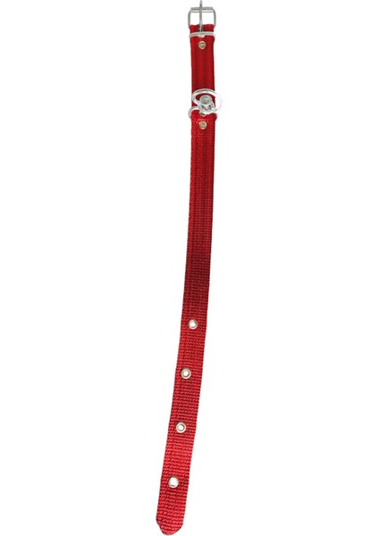 Büyük Boy Köpek Tasması 65 cm