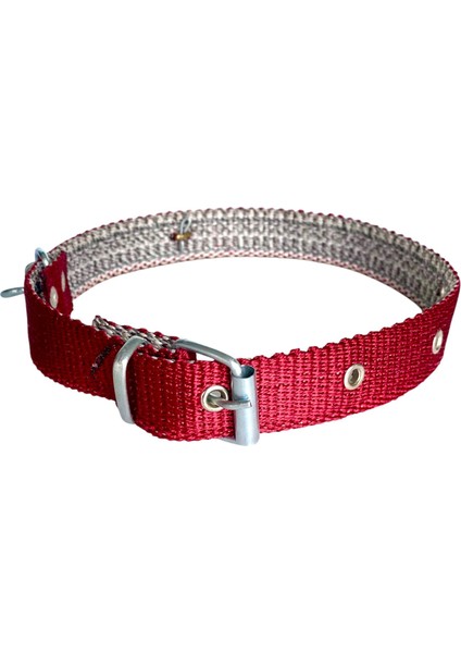 Büyük Boy Zilli Köpek Tasması 65 cm