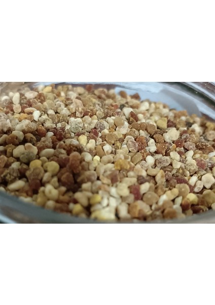 Organik Arı Poleni 250 gr Cam Kavanoz
