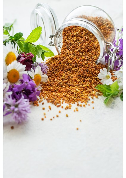 Organik Arı Poleni 250 gr Cam Kavanoz