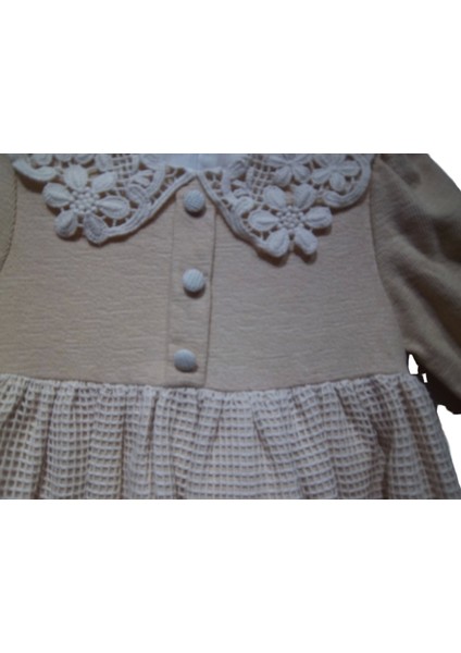 Fileli Dantel Yakalı Elbise fiyatları