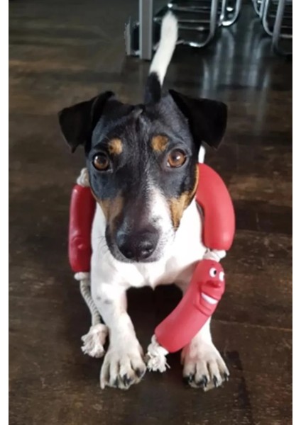 Tineke Sosis Köpekler Için Oyuncak