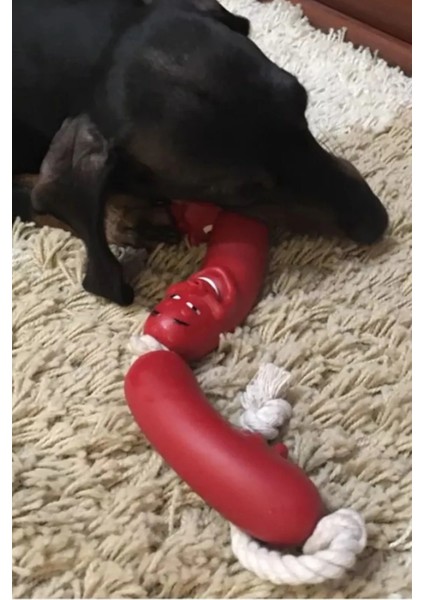 Tineke Sosis Köpekler Için Oyuncak