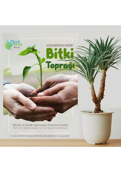 5 Litre Premium Çiçek Toprağı - Vitamin Tavyeli Böcek Sinek Yapmayan Özel Karışımlı Toprak fiyatları