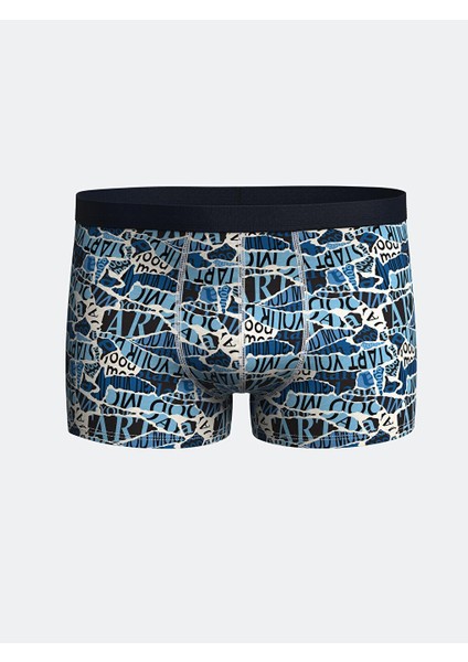 Lc Waıkıkı Standart Kalıp Pamuklu Esnek Erkek Boxer 3'lü
