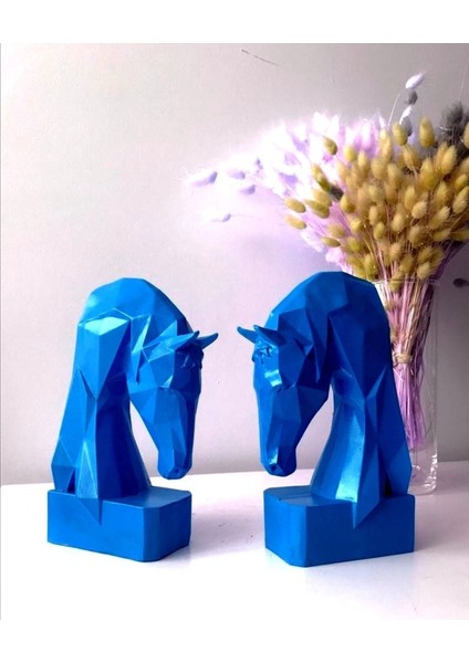 At Kitap Desteği mavi