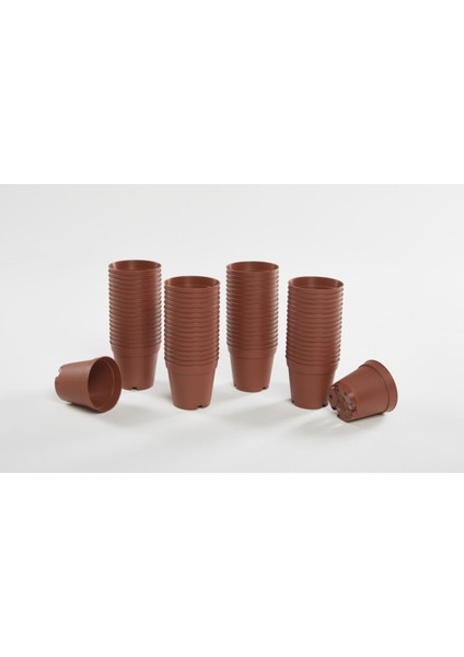 5.5cm Sukkulent ve Kaktüs Yetiştirme Saksısı 1875 Adet Tys 5.5