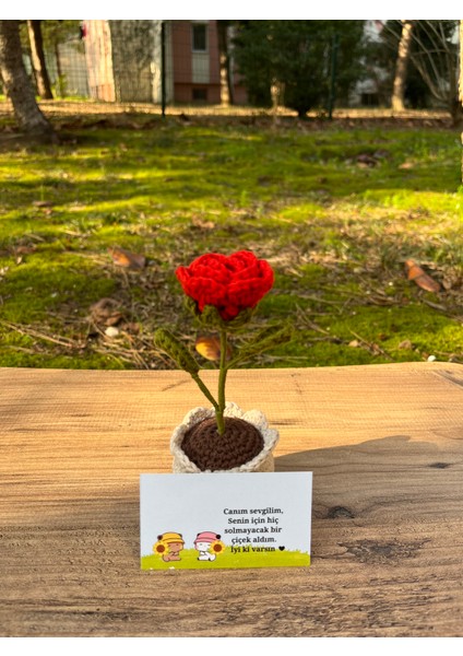 El Yapımı Örgü Saksıda Kırmızı Gül, Örgü Solmayan Çiçek, Sevgiliye Hediye, El Yapımı Hediyelik Çiçek