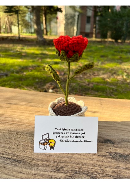 El Yapımı Örgü Saksıda Kırmızı Gül, Örgü Çiçek, Yeni Iş Için Hediye, Masaüstü Hediyelik Çiçek