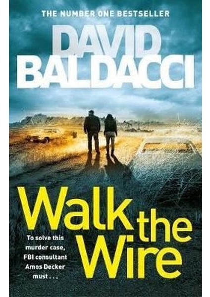 Walk The Wire (Amos Decker Series)