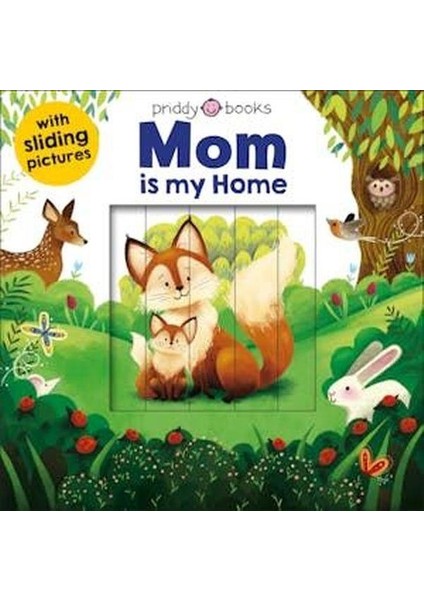 Sliding Pictures: Mom Is My Home (Ciltli)
