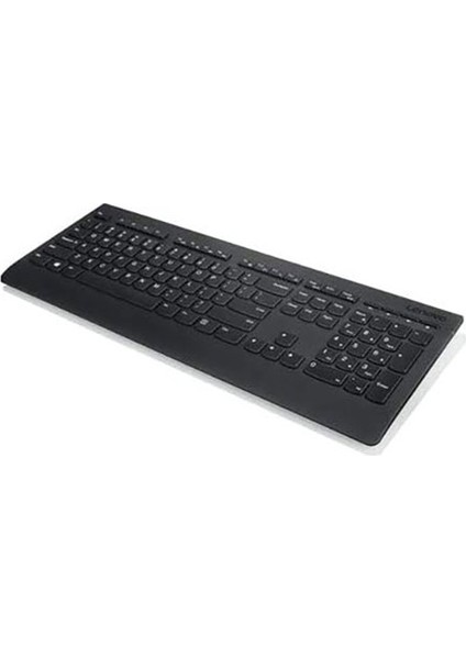 4X30H56872 Q Türkçe Kablosuz Professional Siyah Klavye