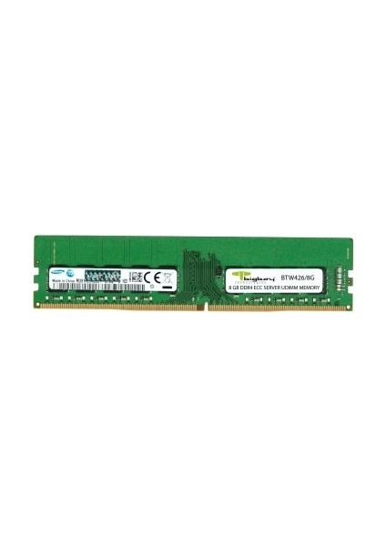 Bıgboy 8gb Ddr4 2666MHZ CL19 Ecc Sunucu Belleği