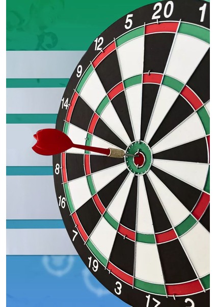 Hedef Tahtası Eğlence Seti Dart Seti 43 cm (17 Inç) Büyük Boy + 4 Dart Oku (18 Gr)