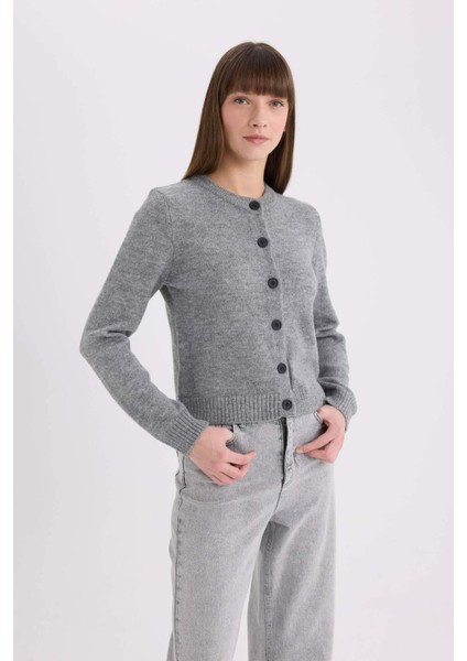 Regular Fit Bisiklet Yaka Basic Düz Düğmeli Soft Touch Yumuşak Triko Hırka E3654AX25SP fırsatları