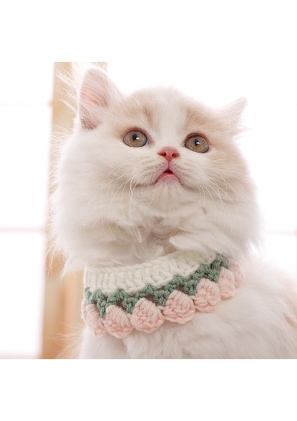 Kedi Atkı Tasması (Yurt Dışından)