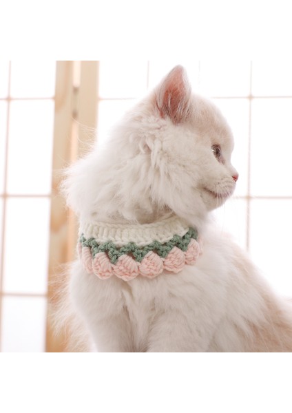 Kedi Atkı Tasması (Yurt Dışından)
