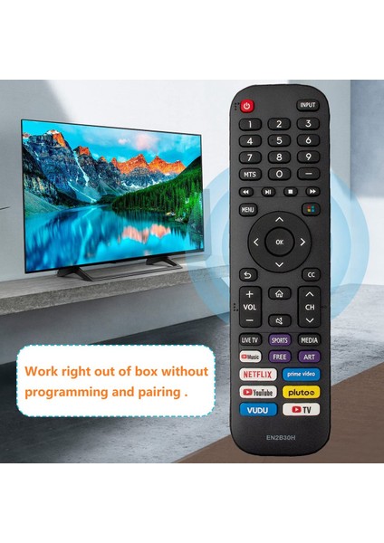EN2B30H Hisense Tv Için Uzaktan Kumandayı Değiştirin 43V6G 43H6G 43A60G 43A60H 43H77G 50V6G 50H6G 50A60G 50A60H 50H77G 55V6G (Yurt Dışından)